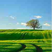 专‍业‍网‍站﻿加‌速﻿方﻿法‍